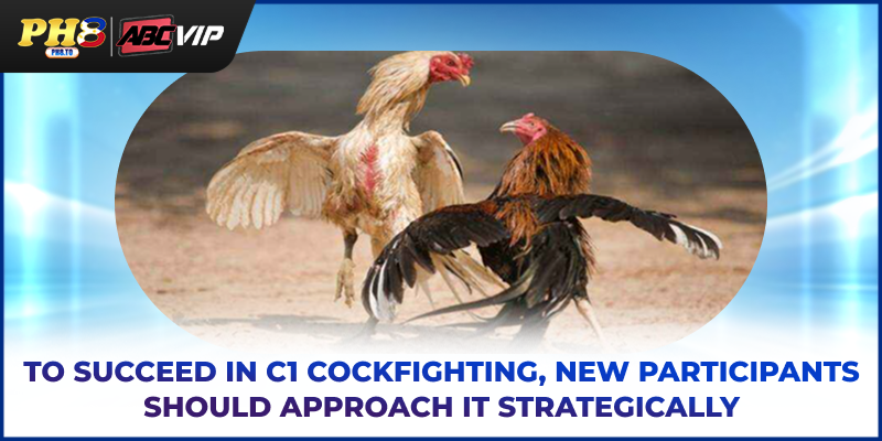 To succeed in C1 cockfighting, new participants should approach it strategically