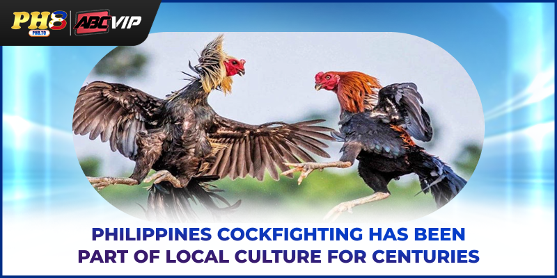 Philippines cockfighting has been part of local culture for centuries